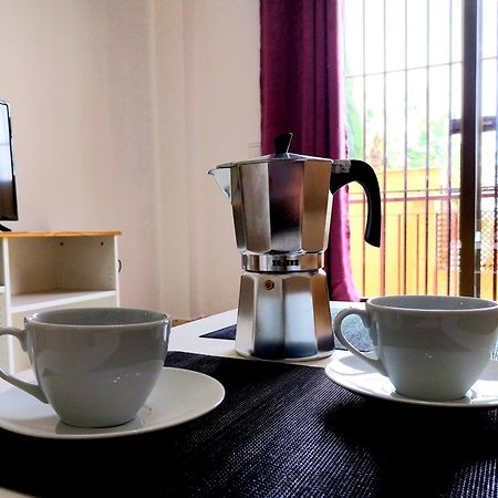 Top Suite Apartment Jerez Jardin Y Patio ヘレス エクステリア 写真