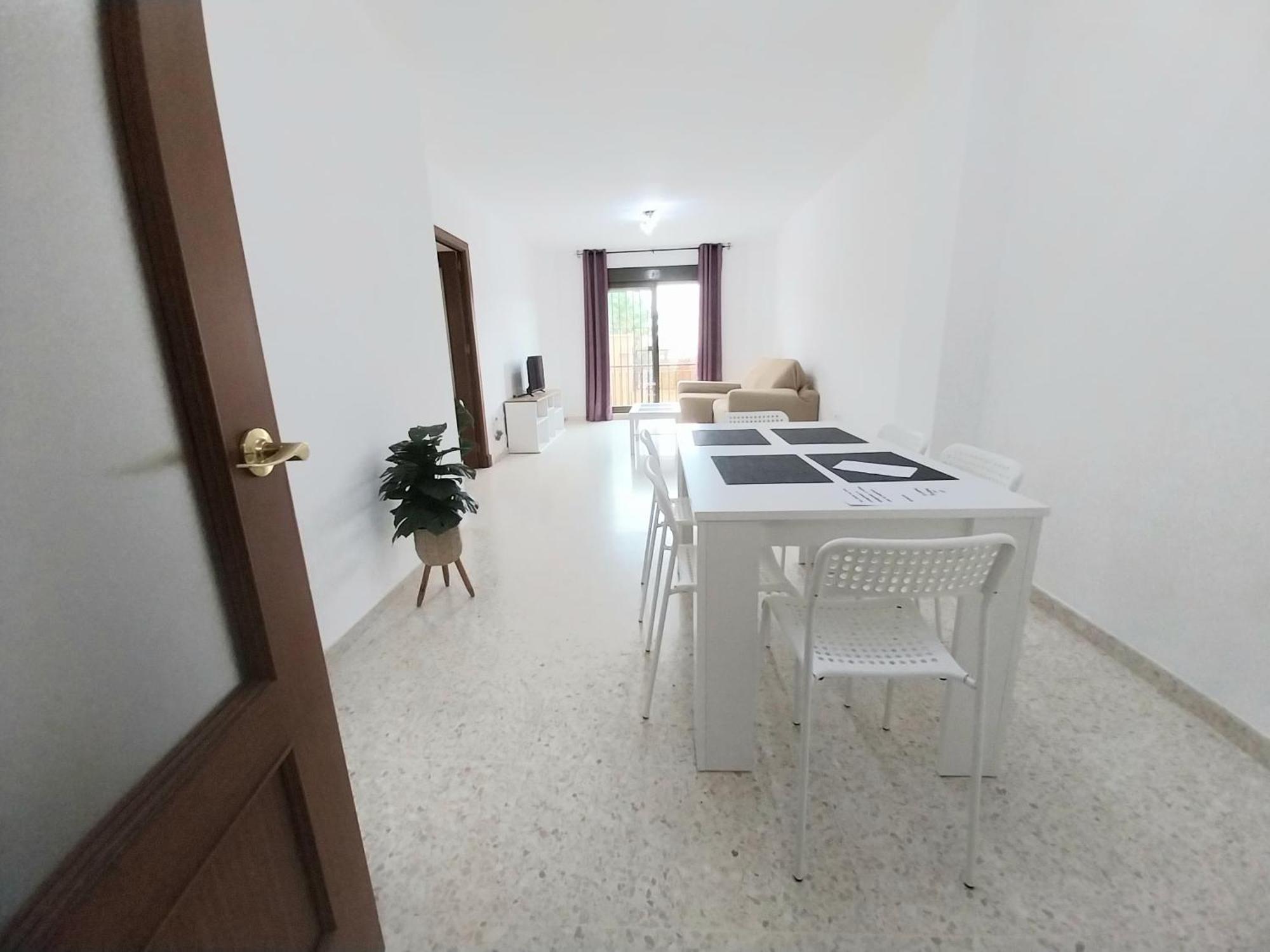 Top Suite Apartment Jerez Jardin Y Patio ヘレス エクステリア 写真
