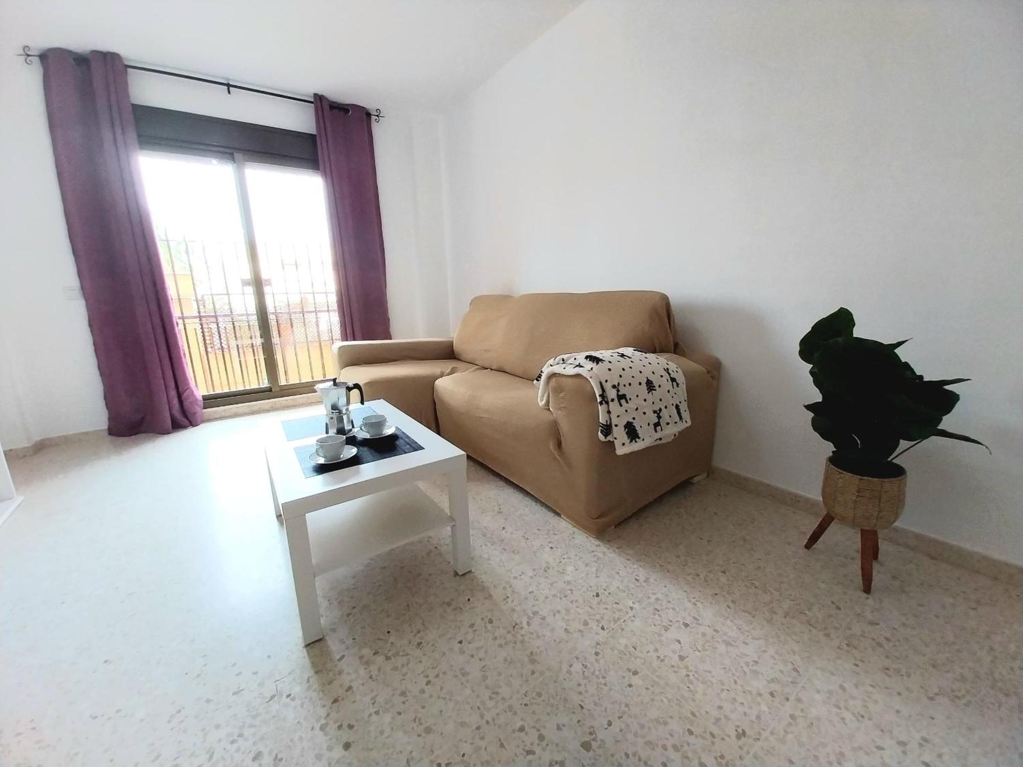 Top Suite Apartment Jerez Jardin Y Patio ヘレス エクステリア 写真