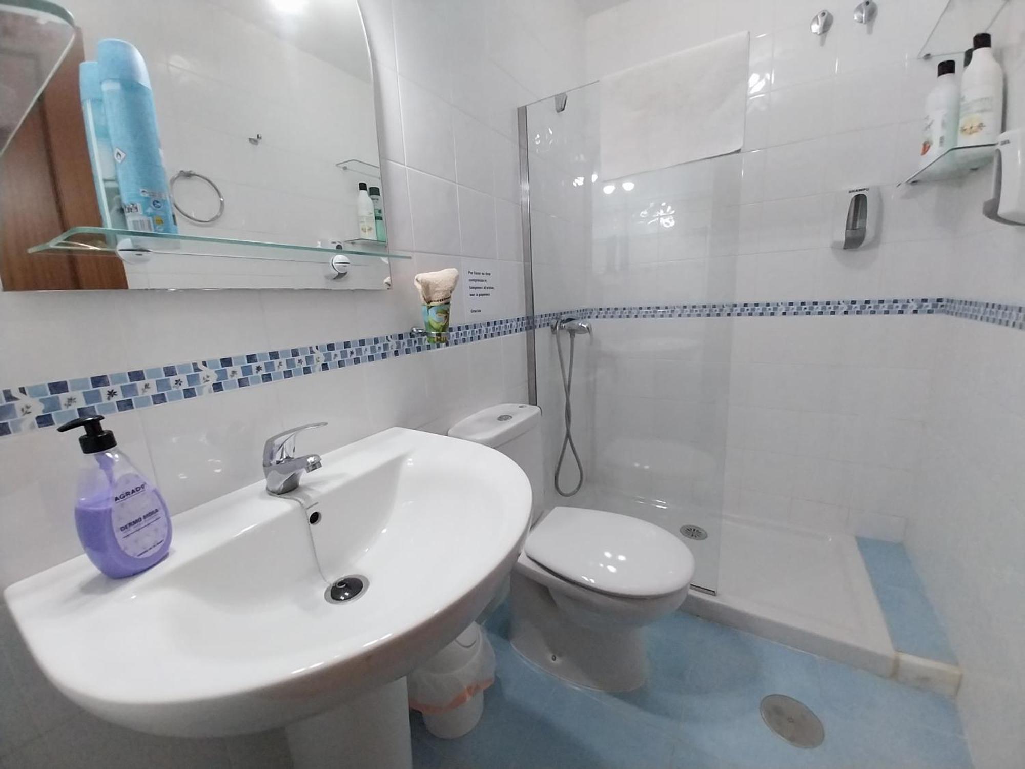 Top Suite Apartment Jerez Jardin Y Patio ヘレス エクステリア 写真