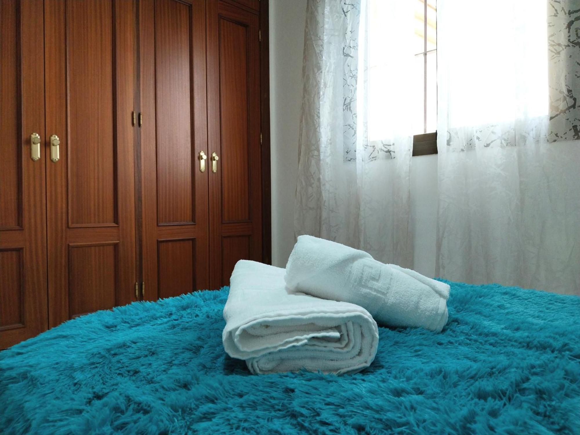 Top Suite Apartment Jerez Jardin Y Patio ヘレス エクステリア 写真