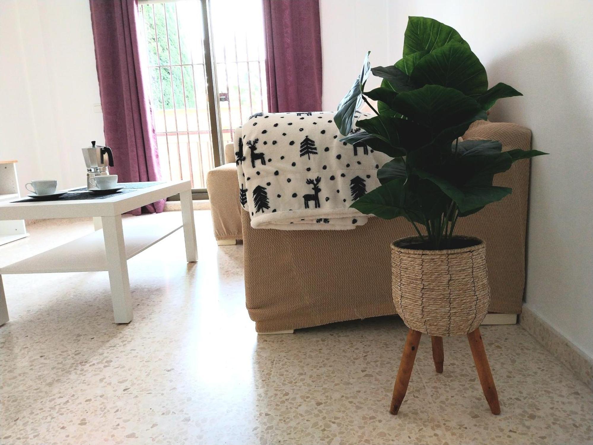 Top Suite Apartment Jerez Jardin Y Patio ヘレス エクステリア 写真